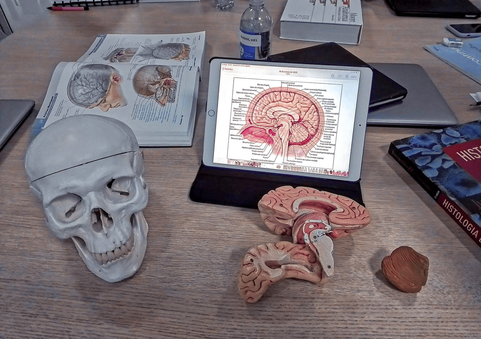 Cerveau et (pré-péri)ménopause : ce qui se passe vraiment dans votre tête